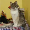 Отзыв от Наиля Шувалова